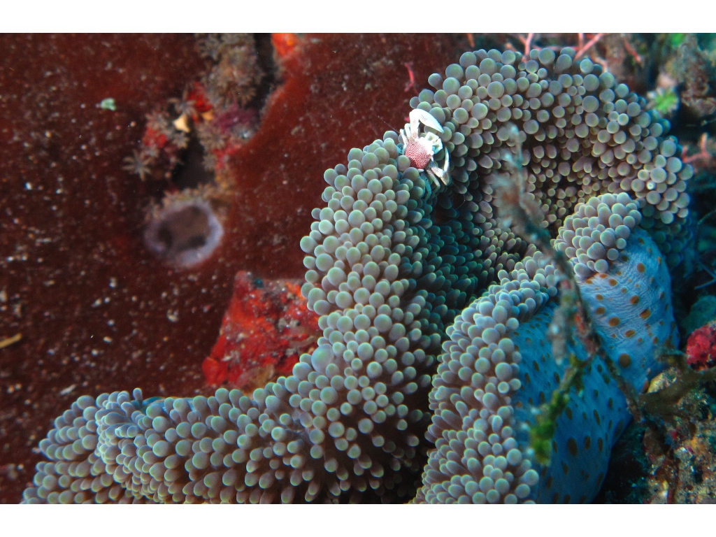 IMG_6232 (1) IMG_6232 (1)